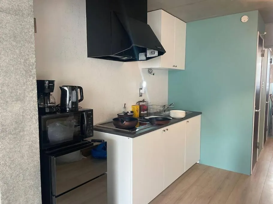 Shibuyayoyogi Shinjuku 8Psn 70Sqm New Apartment Maisonette Tokyo